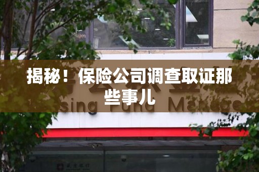 洛江揭秘！保险公司调查取证那些事儿