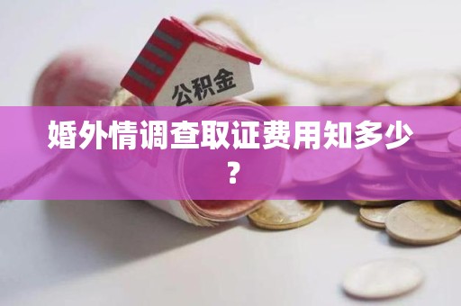 洛江婚外情调查取证费用知多少？