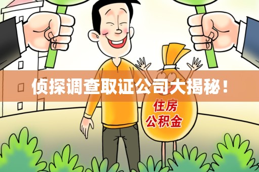 洛江侦探调查取证公司大揭秘！