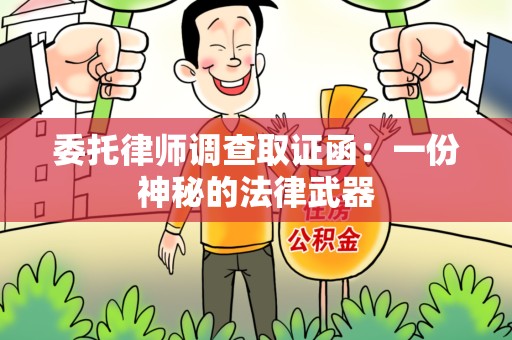 洛江委托律师调查取证函：一份神秘的法律武器