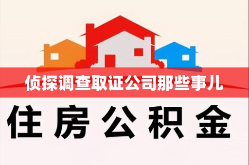 洛江侦探调查取证公司那些事儿