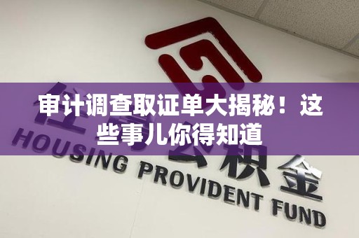洛江审计调查取证单大揭秘！这些事儿你得知道