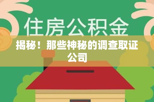 洛江揭秘！那些神秘的调查取证公司