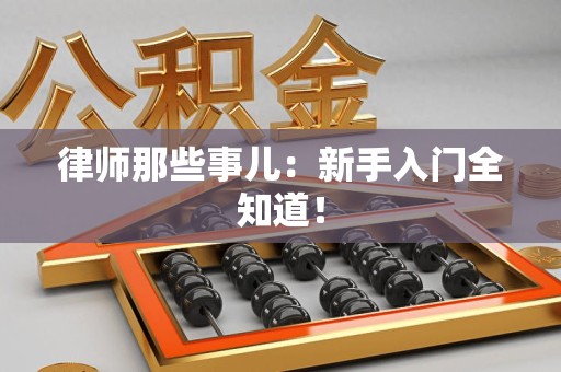 洛江律师那些事儿：新手入门全知道！