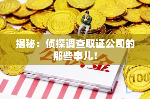 洛江揭秘：侦探调查取证公司的那些事儿！