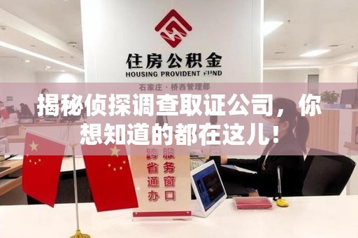 洛江揭秘侦探调查取证公司，你想知道的都在这儿！