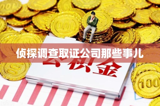 洛江侦探调查取证公司那些事儿
