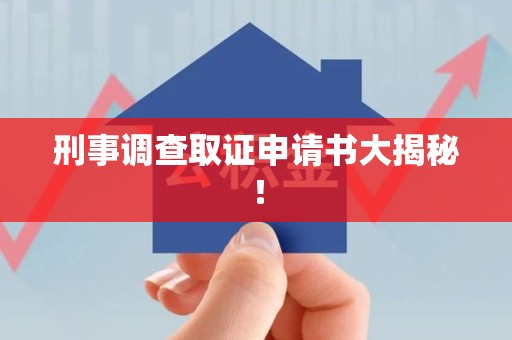 洛江刑事调查取证申请书大揭秘！
