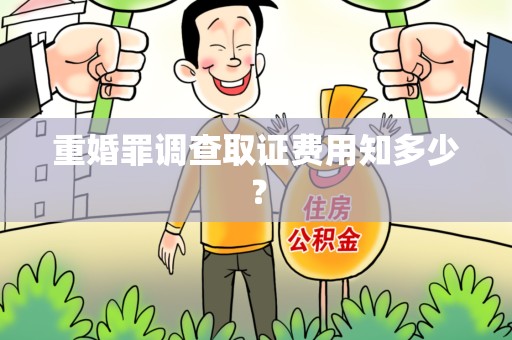 洛江重婚罪调查取证费用知多少？
