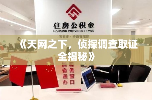 洛江《天网之下，侦探调查取证全揭秘》