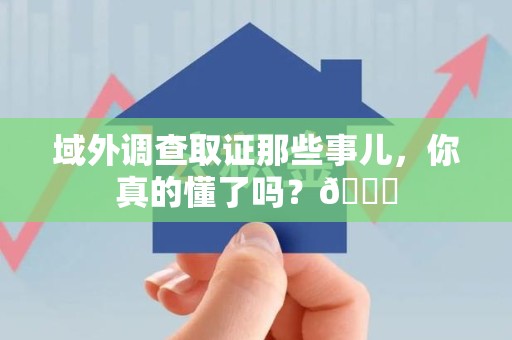 洛江域外调查取证那些事儿，你真的懂了吗？😎
