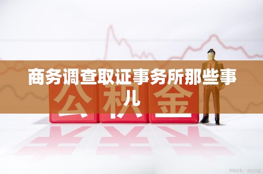 洛江商务调查取证事务所那些事儿