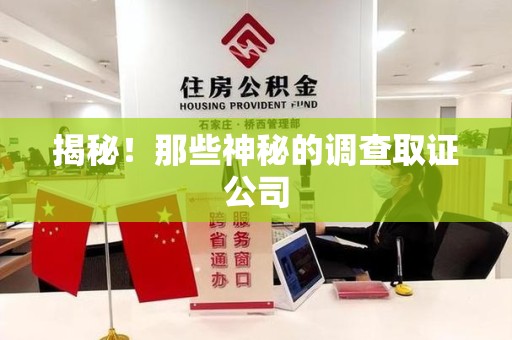 洛江揭秘！那些神秘的调查取证公司