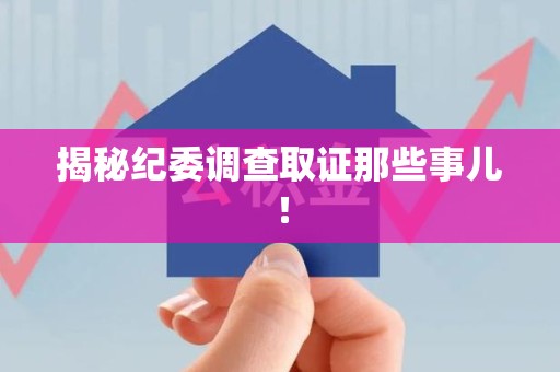 洛江揭秘纪委调查取证那些事儿！