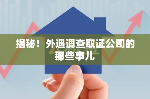 洛江揭秘！外遇调查取证公司的那些事儿