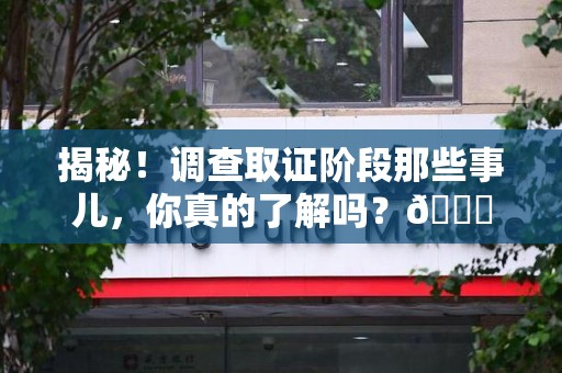 洛江揭秘！调查取证阶段那些事儿，你真的了解吗？😎