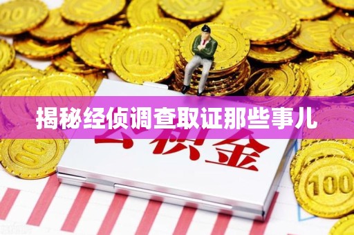 洛江揭秘经侦调查取证那些事儿