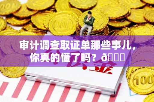 洛江审计调查取证单那些事儿，你真的懂了吗？😎