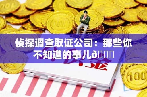 洛江侦探调查取证公司：那些你不知道的事儿😎