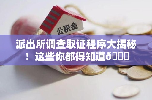 洛江派出所调查取证程序大揭秘！这些你都得知道😉