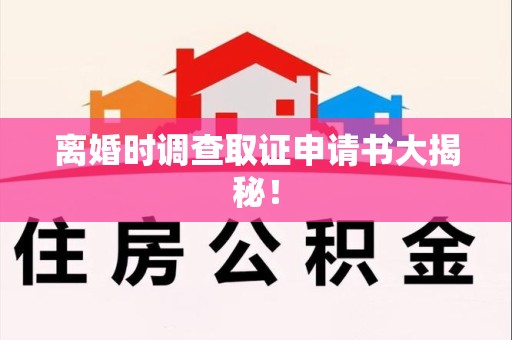 洛江离婚时调查取证申请书大揭秘！